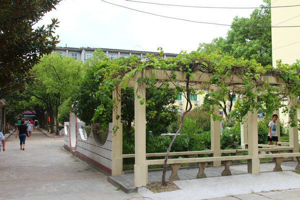 校园环境