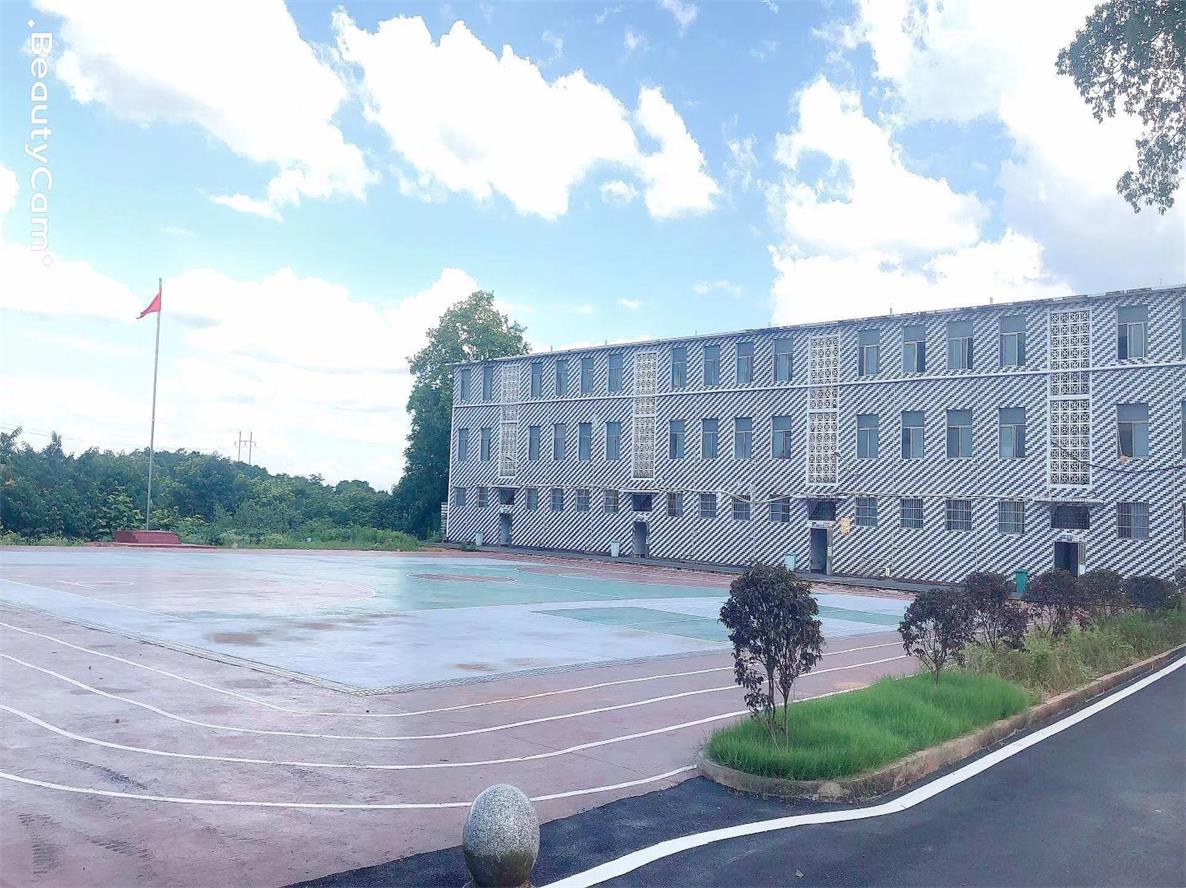 校园环境