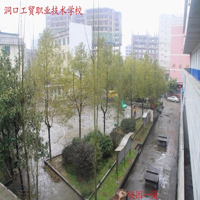 Image description