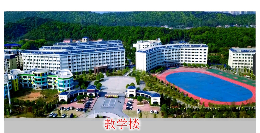 校园环境