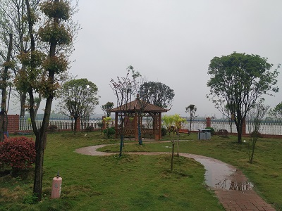 校园环境