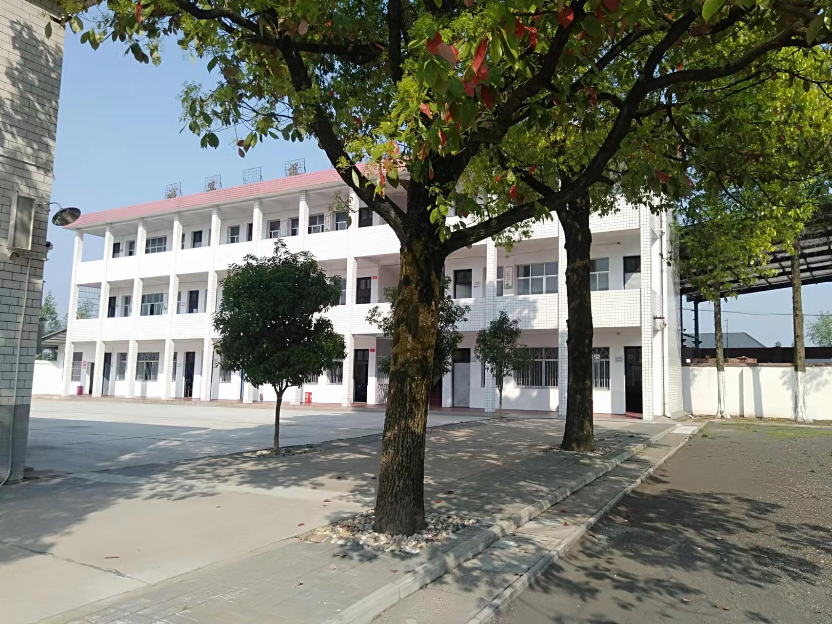 校园环境